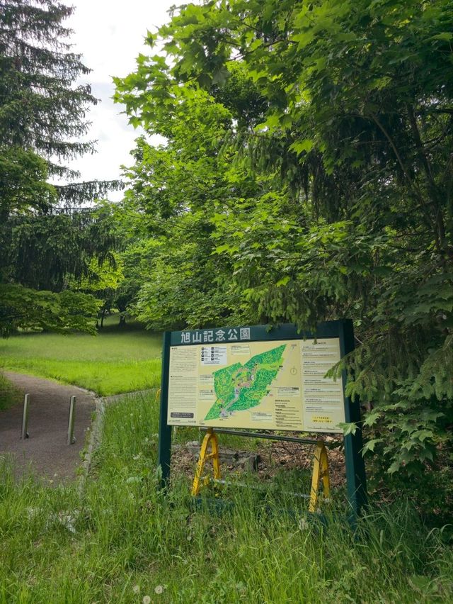 해외여행 삿포로 조망 좋은 旭山記念公園