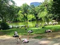 Zoo Negara