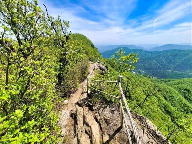 Chukryeong Mountain Vibes