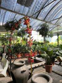 Desaru’s Budget Café Surprise: Sip & Stroll Through Nature
