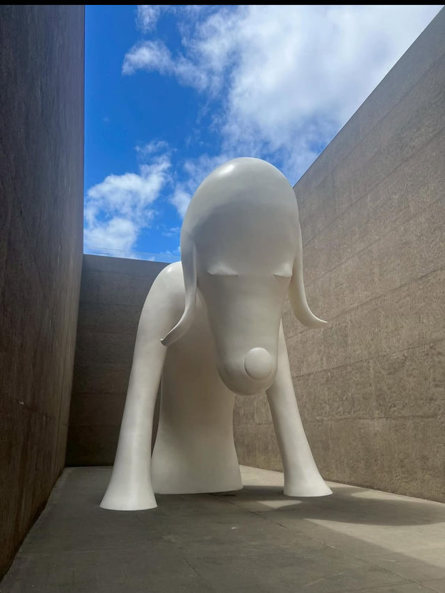 🎯【青森・青森県立美術館】アートと自然が響き合う白い美術空間