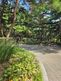 The Namsan Outdoor Botanical Garden