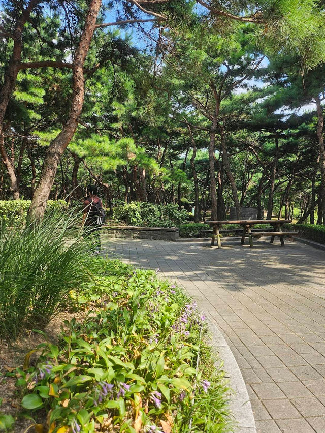 The Namsan Outdoor Botanical Garden