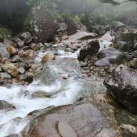 Nature & Vibes Near Sansuhwa Pension