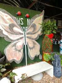 Hidden Green Corners in the City – Budget Garden Escape in Hong Kong