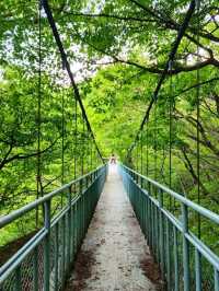 Cheonmasan’s Chill Adventure