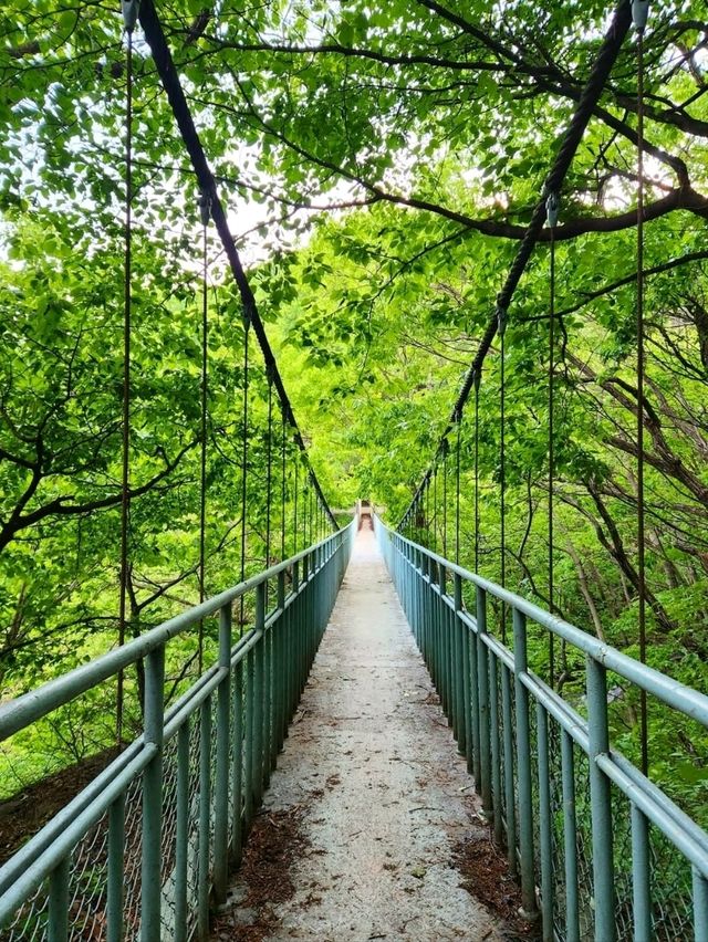 Cheonmasan’s Chill Adventure