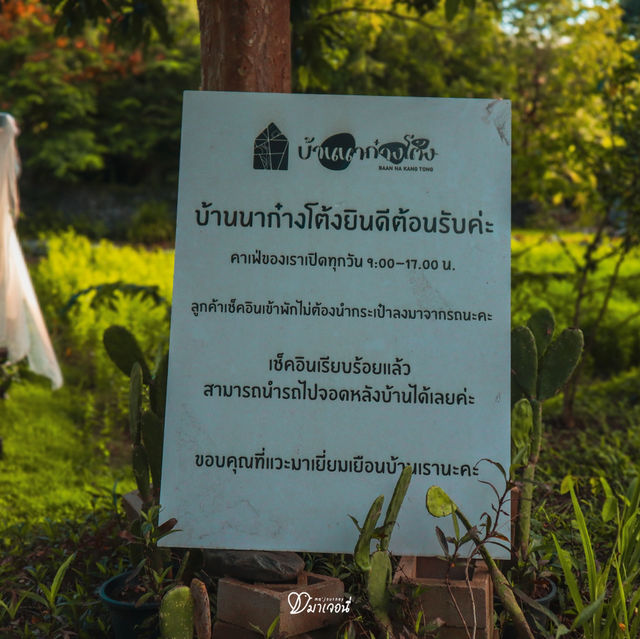 น่านก็มีที่พักกลางทุ่งนาเก๋ ๆ นะเธอ