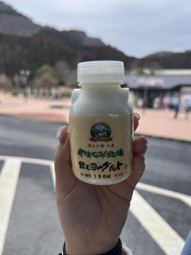 후쿠오카 버스투어로 하루 알차게 보내기!