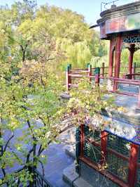 From palace whispers to bamboo shadows: tracing the soul of Qing Beijing