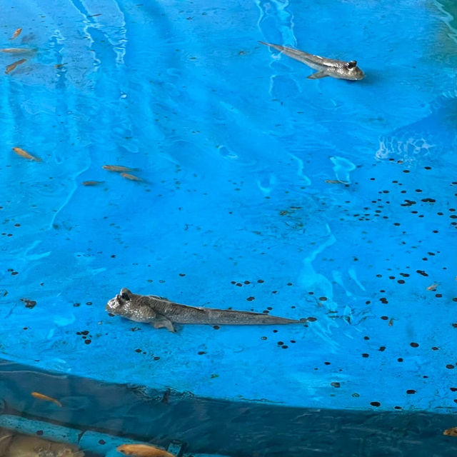 📍Aquarium สมุทรสาคร🐠🪼