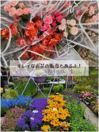 【ソウル🇰🇷ポラメ公園】ソウル国際庭園博覧会🌼