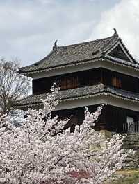 🏯長野・上田城｜真田氏ゆかりの歴史を感じる城跡