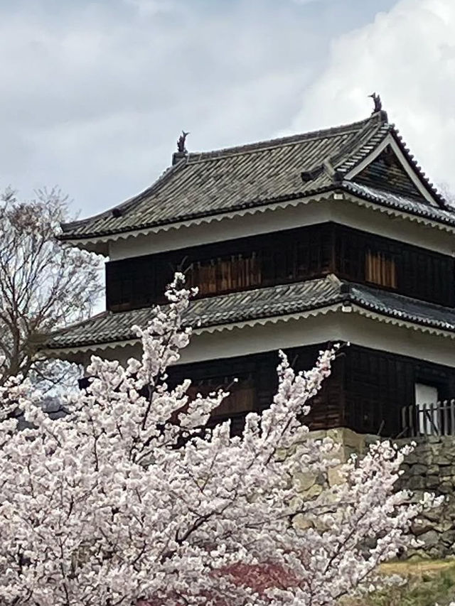 🏯長野・上田城｜真田氏ゆかりの歴史を感じる城跡