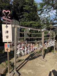 華やかな朱塗りに癒される⛩江島神社・中津宮で美しい時間を🌸