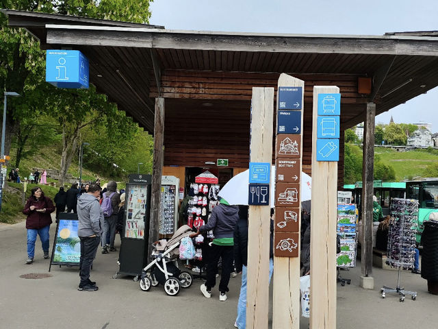 Exploring Rhine Falls from Zurich: Your Essential Guide! 🇨🇭💦