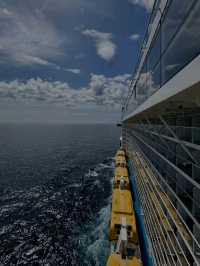 🚢👑 Royal Caribbean Cruises – The King of the Seas! 🌊✨