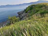 🌊🏝️ Geoje Island Summer Escape: Korea’s Hidden Coastal Gem