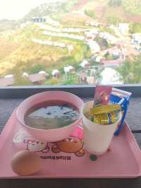 🌄 ม่อนสายลม ม่อนแจ่ม —เชียงใหม่