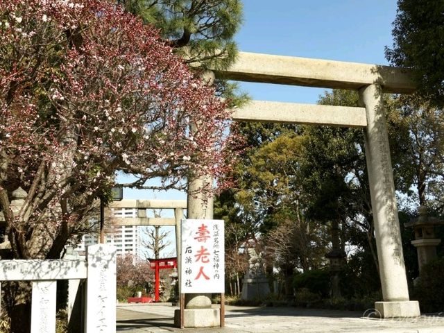 【東京】浅草観光で運気アップ！「浅草七福神めぐり」