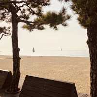 Haeundae Beach, Busan: The Essential Summer Destination
