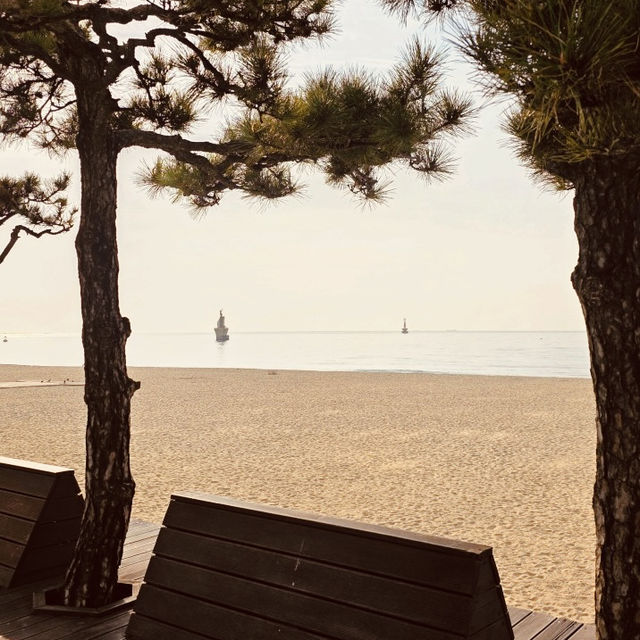 Haeundae Beach, Busan: The Essential Summer Destination