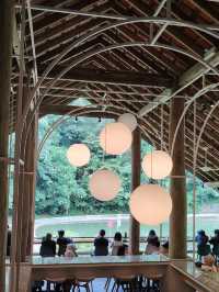 A peaceful and healing escape in Pineyard, Bentong