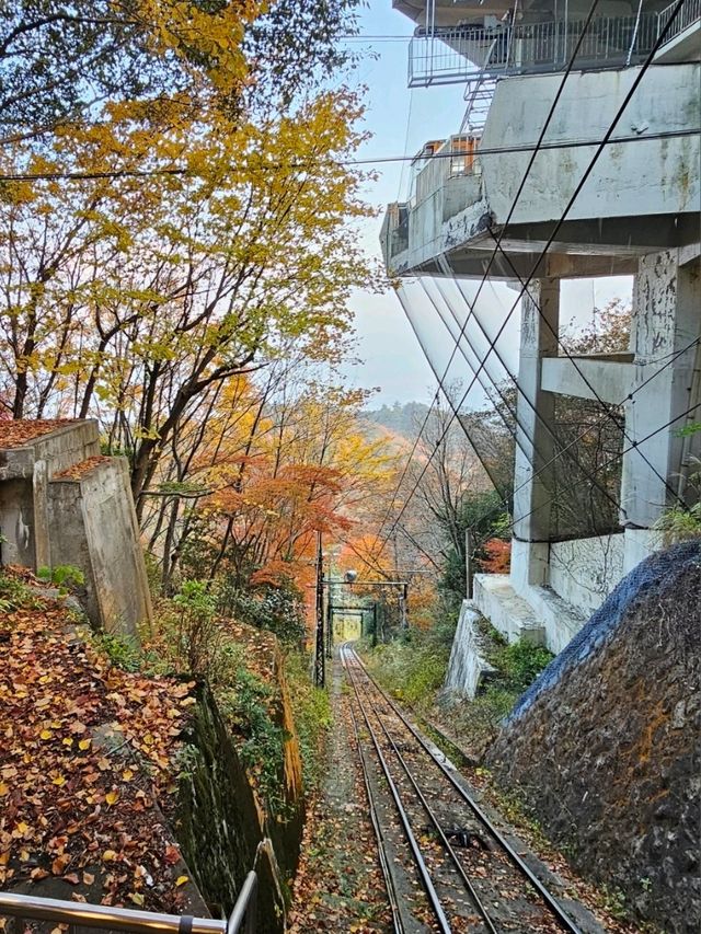 🚠乘纜車，穿越日本神戶六甲山的綠意時光