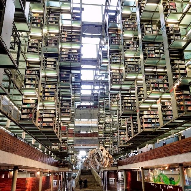 【メキシコシティ】ヴァスコンセロス図書館