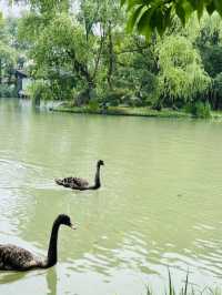 Where Water Meets Elegance: A Day at Slender West Lake