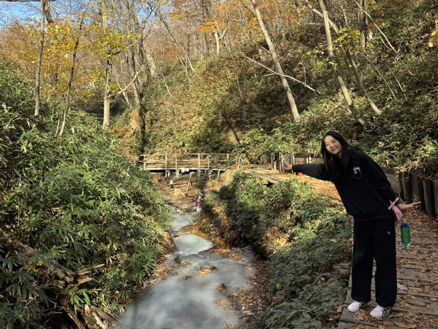 일본 소도시 추천 ❤️