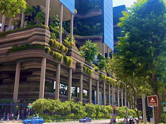 สิงคโปร์🇸🇬