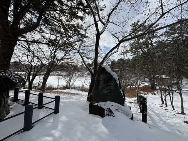 青森-蘆野公園（冬季非常推薦）