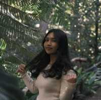 Wendy Whiteley's Secret Garden 🍃