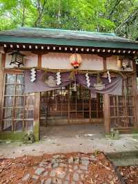 〔金澤稻荷神社〕 石浦神社旁的千本小鳥居 ⛩️