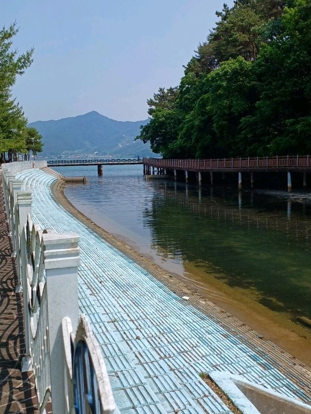 산책에 딱!