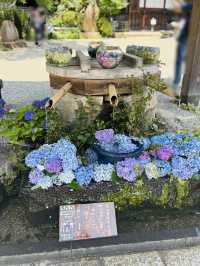 深大寺🇯🇵本堂でお参りしてパワーチャージ💪⟡.·
