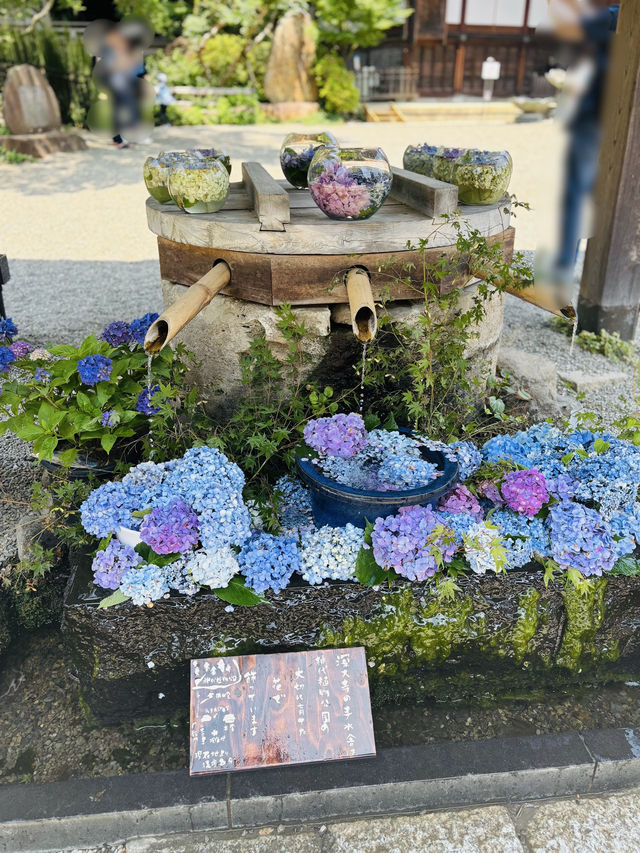 深大寺🇯🇵本堂でお参りしてパワーチャージ💪⟡.·