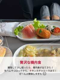 JAL国内線ファーストクラス✈️✨