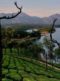 🌄 Munnar, Kerala – The Crown Jewel of the Western Ghats 💚