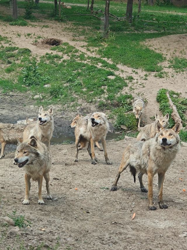 ~汕頭動物園~奇妙世界~