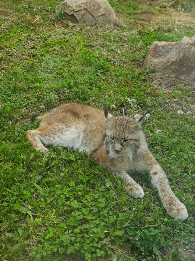 ~潮汕野生動物世界~