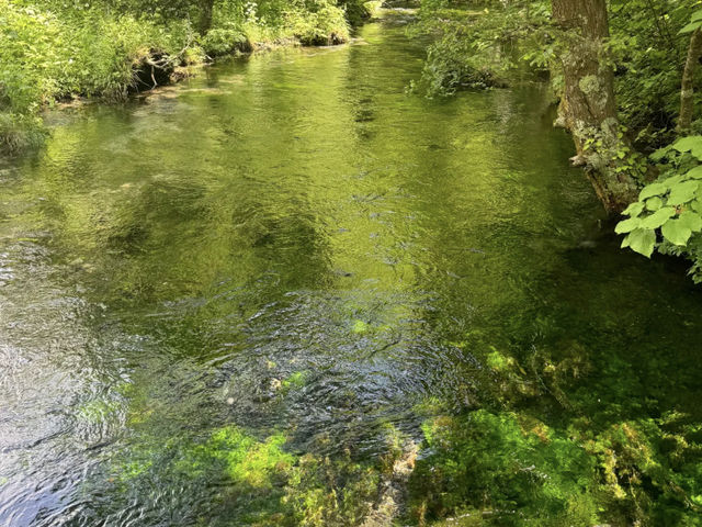 My Relaxing Day in Kamikochi: Going Where the Path Led Me! 🏞️🚌