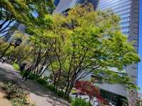 隱身大阪銀行街中的都市之肺/大阪中之島綠地公園