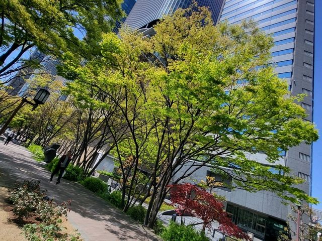隱身大阪銀行街中的都市之肺/大阪中之島綠地公園
