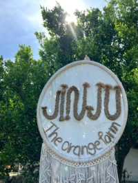 🍊Jinju The Orange Farm  ฟาร์มส้มจินจู เชียงใหม่