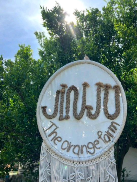 🍊Jinju The Orange Farm  ฟาร์มส้มจินจู เชียงใหม่