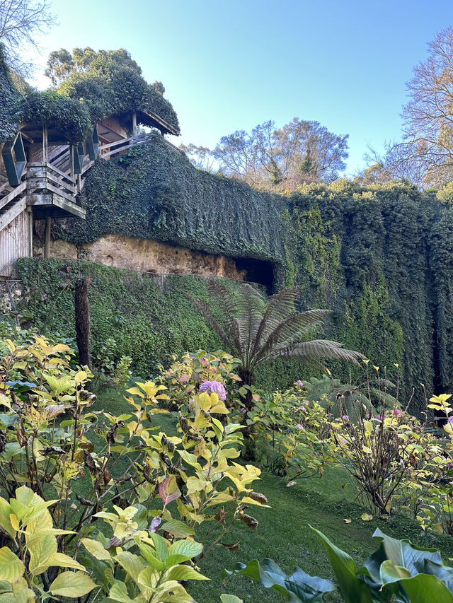 😲 Who Knew a Sinkhole Could Be This Beautiful? 💚
