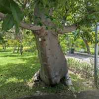 Benjakitti Park