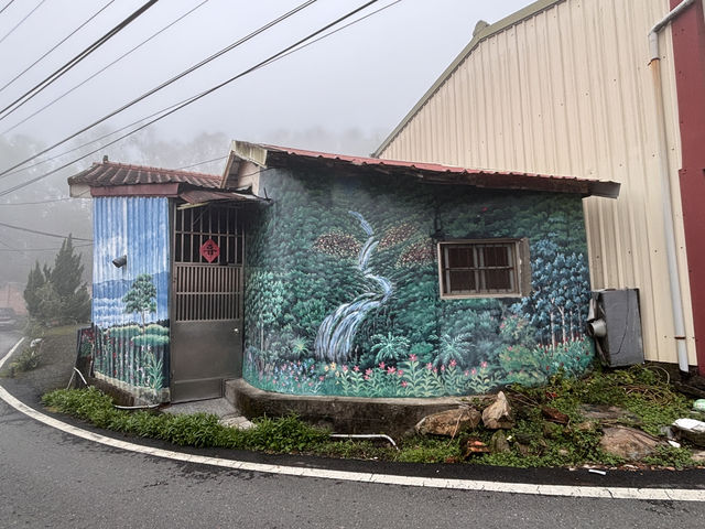 🍃舒適自在的日月潭之旅🌸
